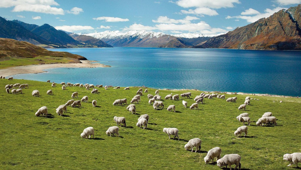 New Zealand by TheTalkingTrails