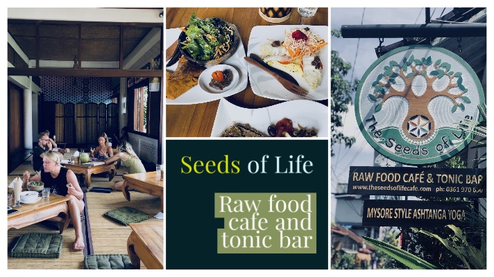 SeedsOflife by TheTalkingTrails