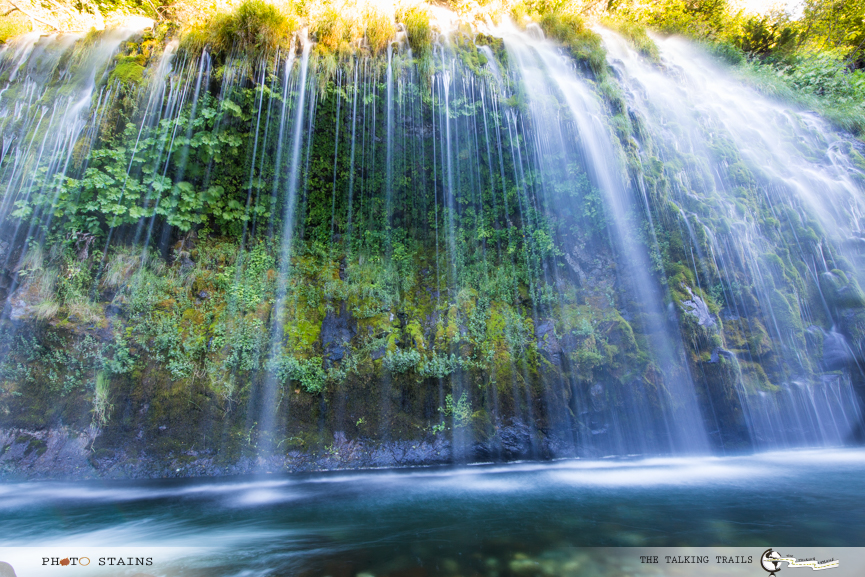 MossBrae by TheTalkingTrails