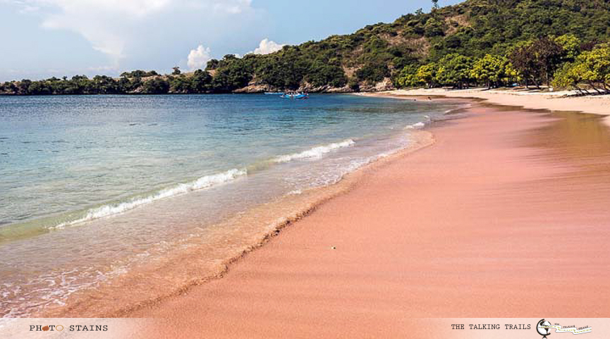 pink beach by thetalkingtrails