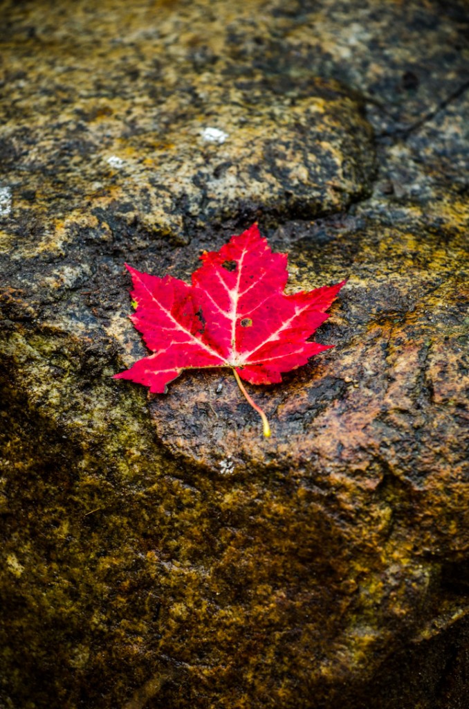 PHSHT_fallpics-4628